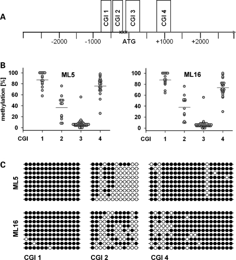 Figure 2.