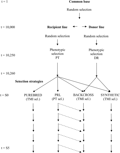 Figure 1.—