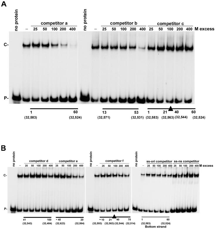 FIG. 6.