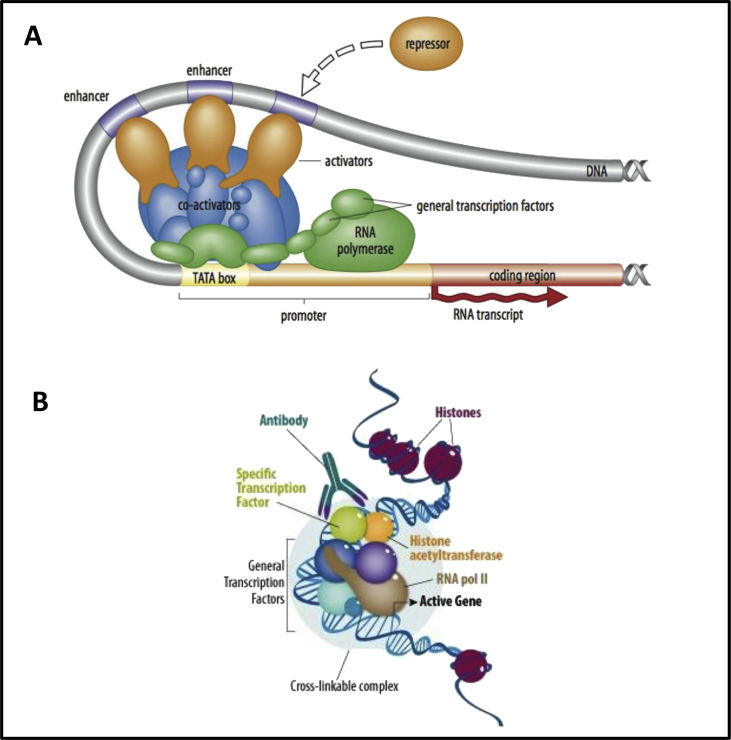 Figure 3