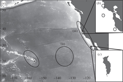 Figure 1.