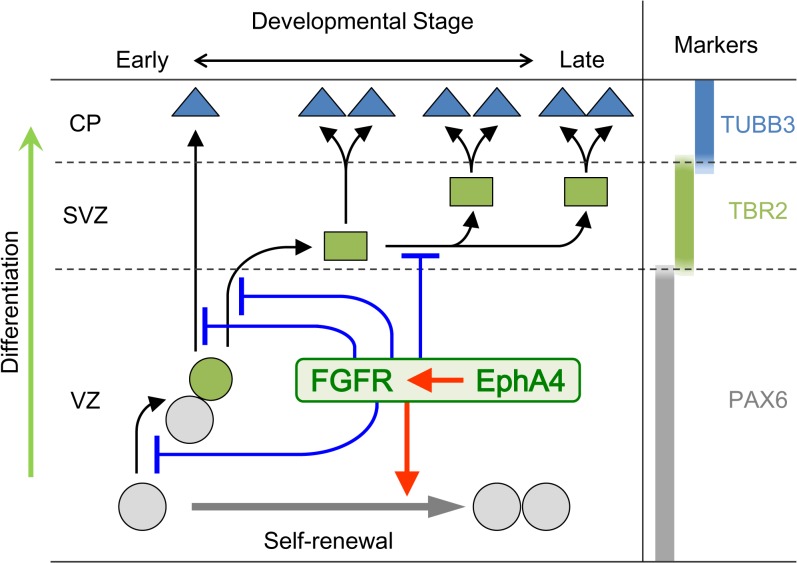 Fig 10