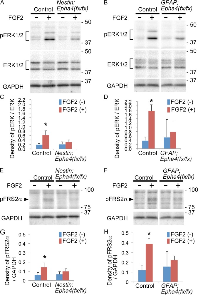 Fig 9