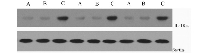 Figure 11