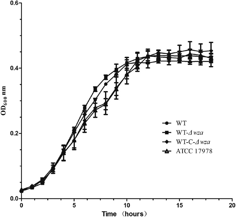 Figure 2.