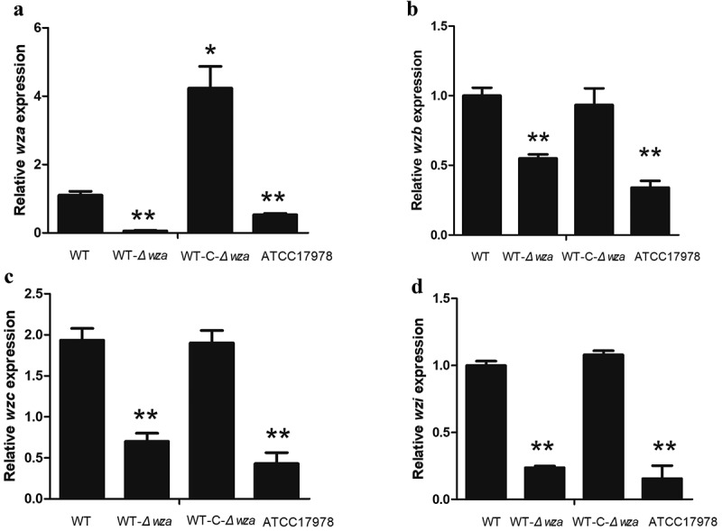 Figure 6.