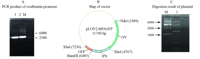 Figure 1-