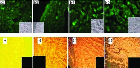 Figure 7-