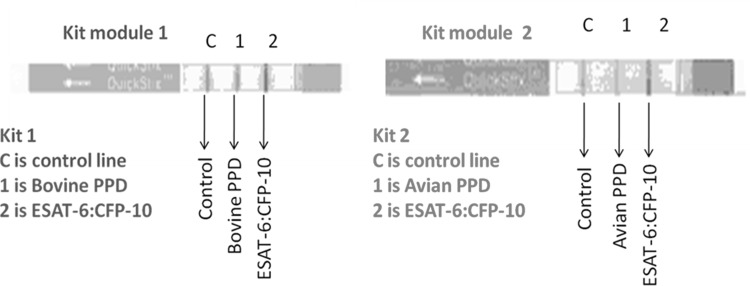 Fig. 1