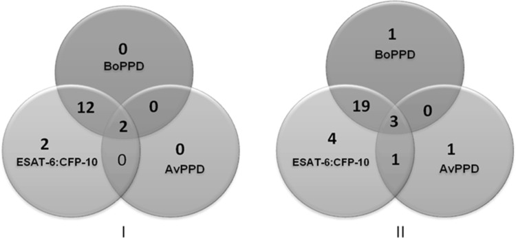 Fig. 4