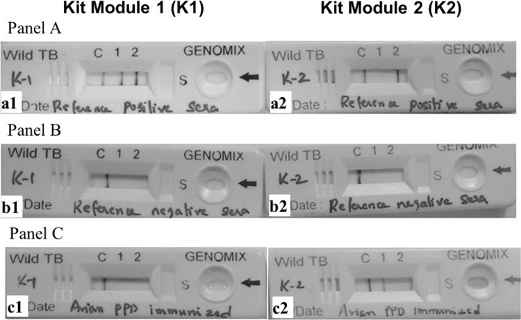 Fig. 2