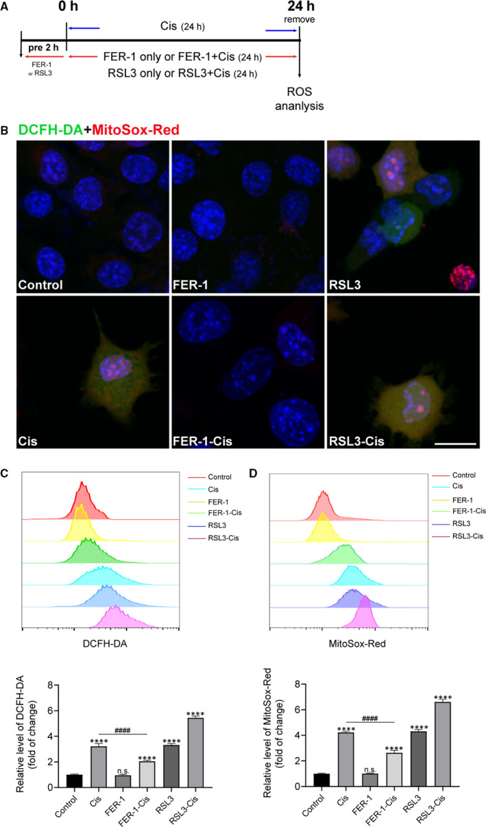 FIGURE 3