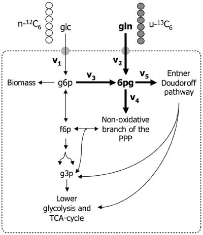 FIG. 1.