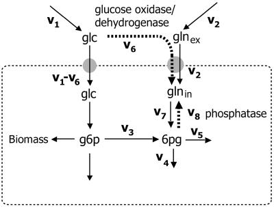 FIG. 5.