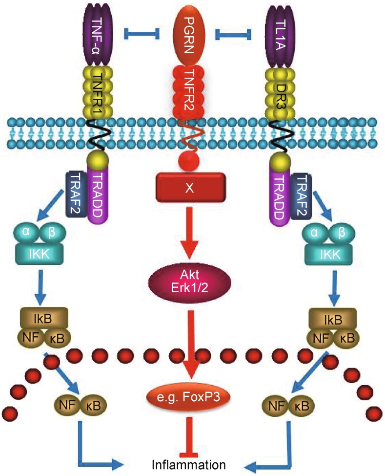 Figure 5