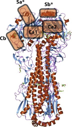 Fig. 2