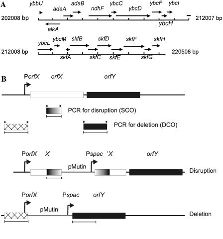 FIG. 4.