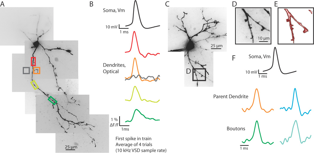 Figure 2