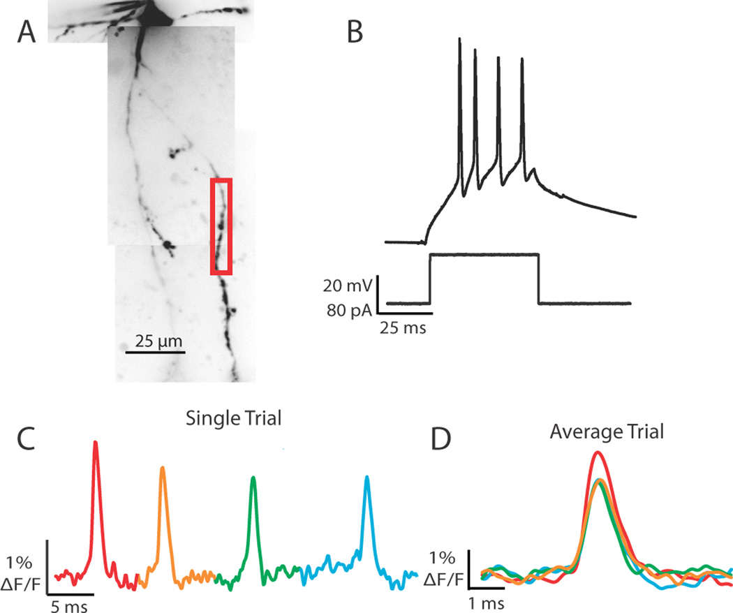 Figure 5