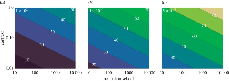 Figure 3.