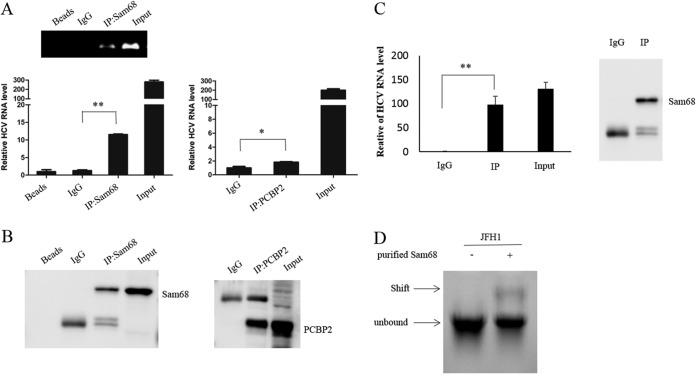 FIG 4