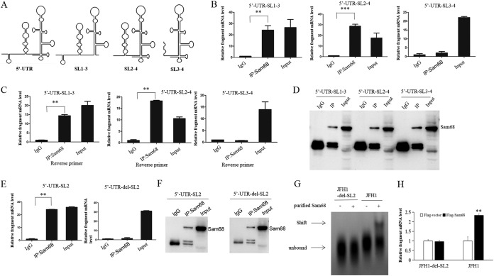 FIG 6