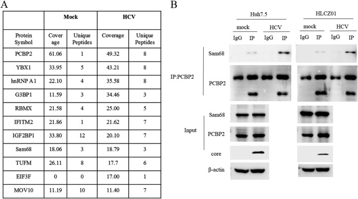 FIG 1