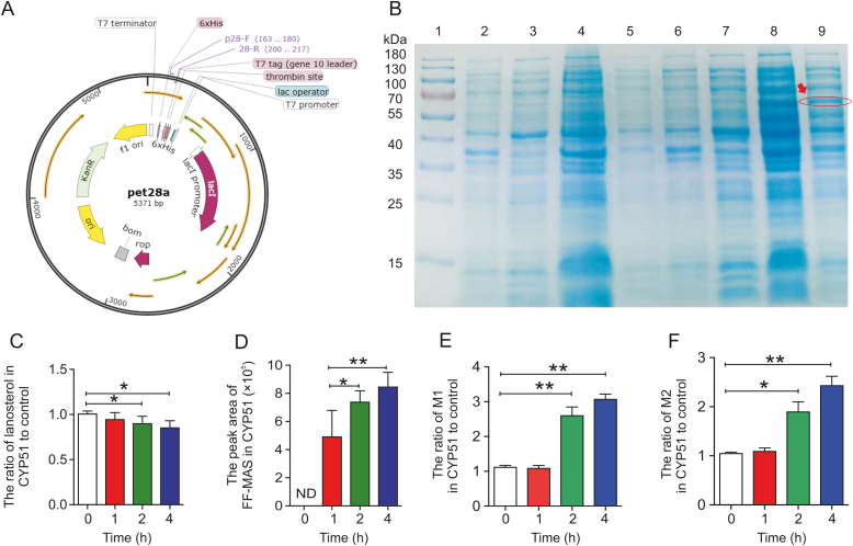 Fig. 6