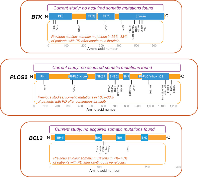 Figure 1. Schematic representation of acquired somatic variants in BTK, PLCG2, and BCL2. Three detected somatic variants with the same VAF at baseline and PD were assessed as not acquired during therapy: (1) BTK: X:100617191CT→C; amino acid change K186fs; baseline and PD VAFs <0.01 and 0.01 (1 patient); no reported clinical or biological relevance. (2) BTK: X:100615678CT→C; amino acid change K218fs; baseline and PD VAFs <0.01 and 0.01 (5 patients); no reported clinical or biological relevance. (3) PLCG2: 16:81942175A→G; amino acid change N571S; baseline and PD VAFs 0.47 and 0.47 (1 patient), 0.49 and 0.47 (1 patient); reported as both a benign variant in ClinVar and a germline SNP in dbSNP.