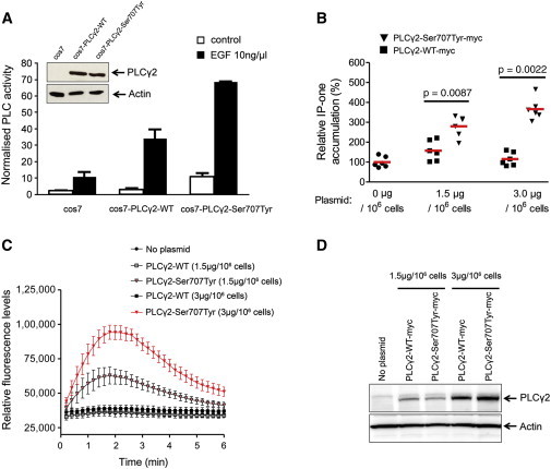 Figure 4