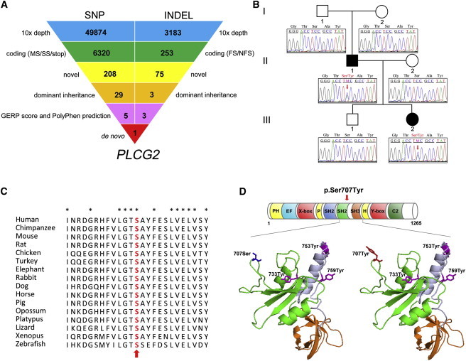 Figure 2