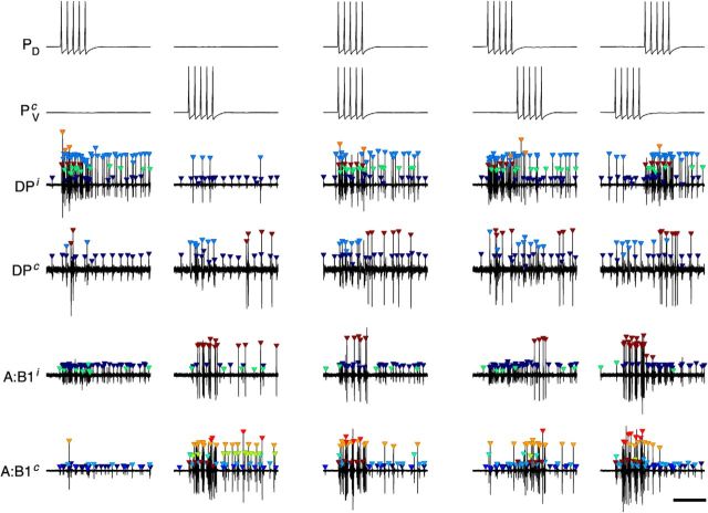 Figure 4.