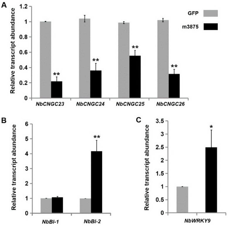 Figure 6