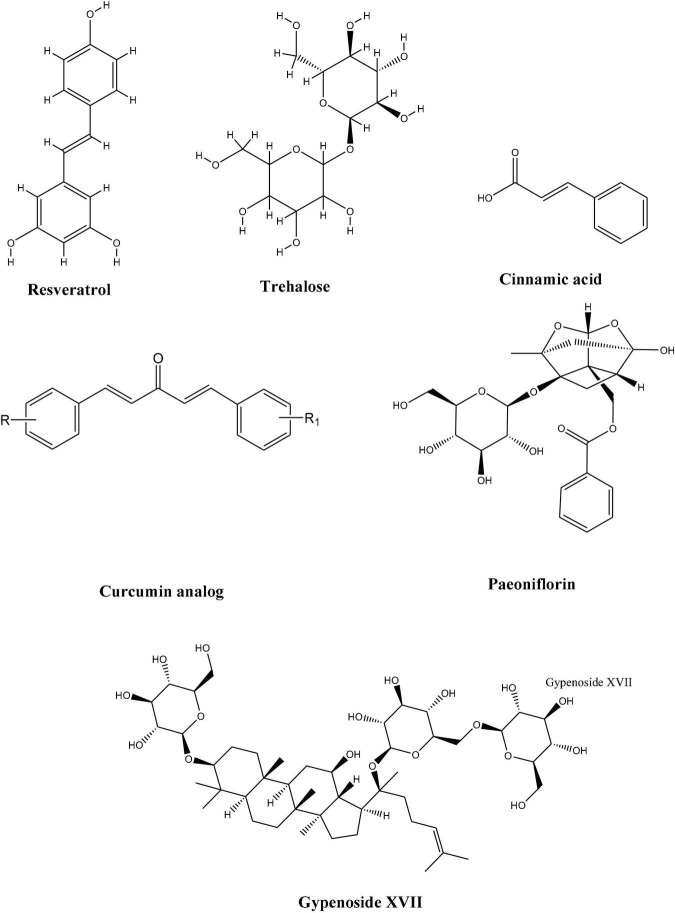 FIGURE 3