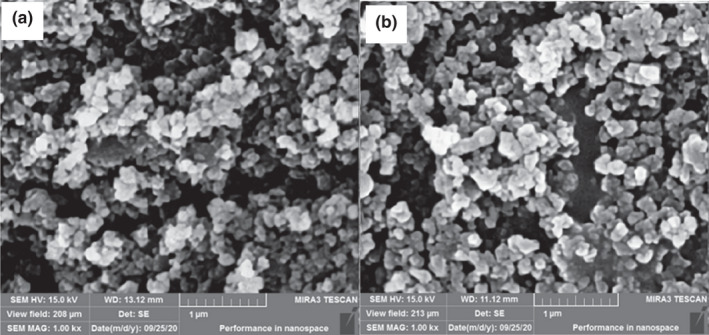 FIGURE 1