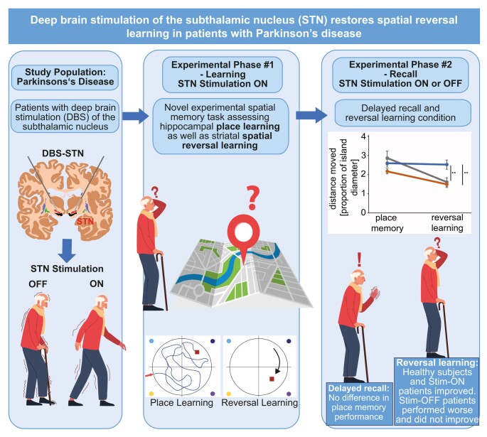 Graphical Abstract