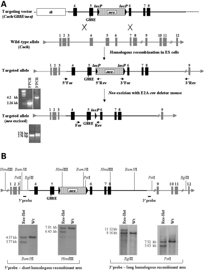 Figure 7.