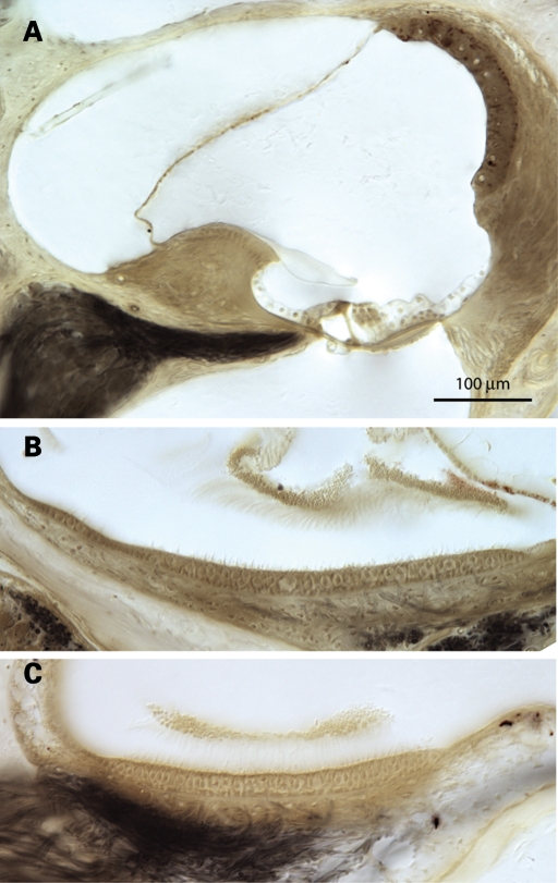 Figure 6.