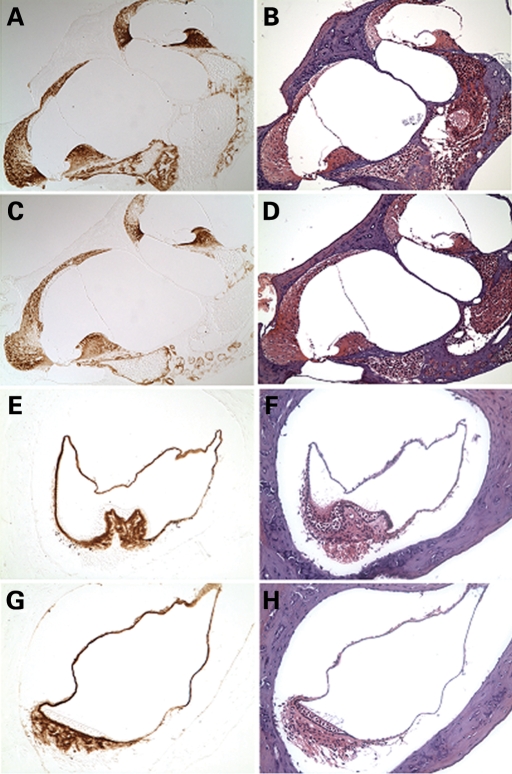 Figure 2.