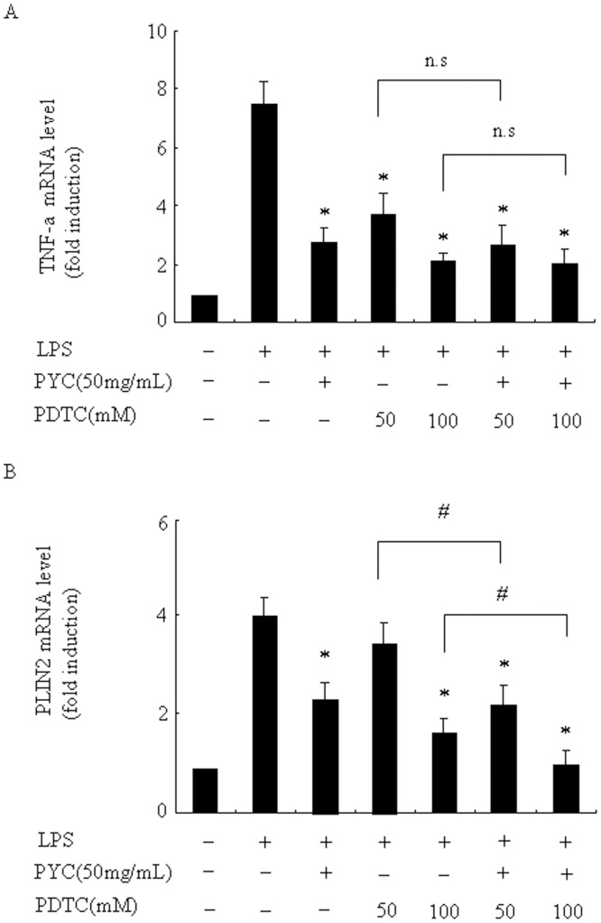 Fig 10