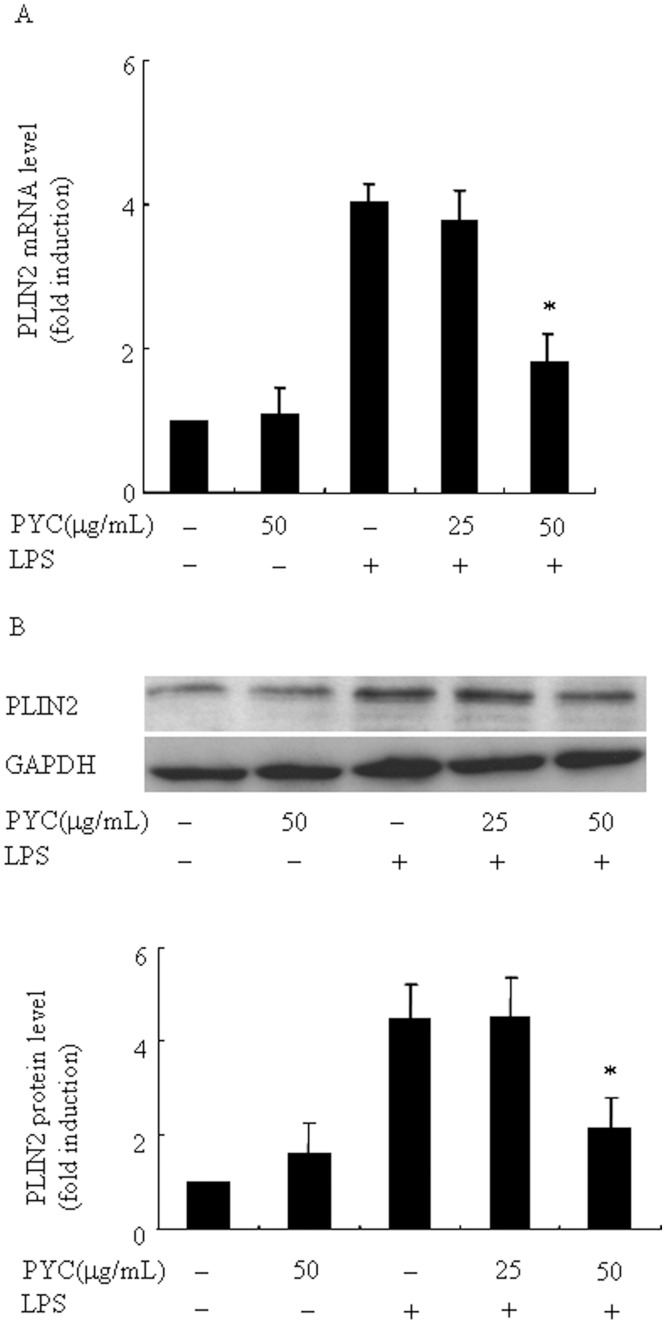 Fig 7