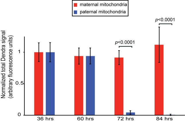 Figure 1—figure supplement 1.