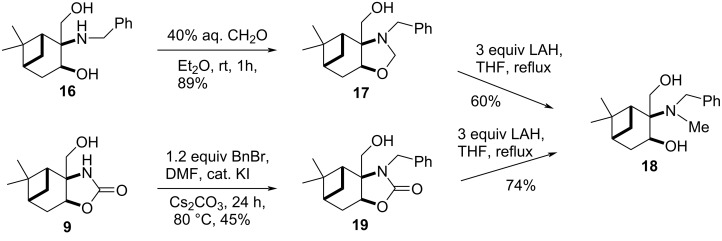 Scheme 5