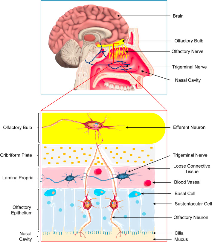 Fig. 2