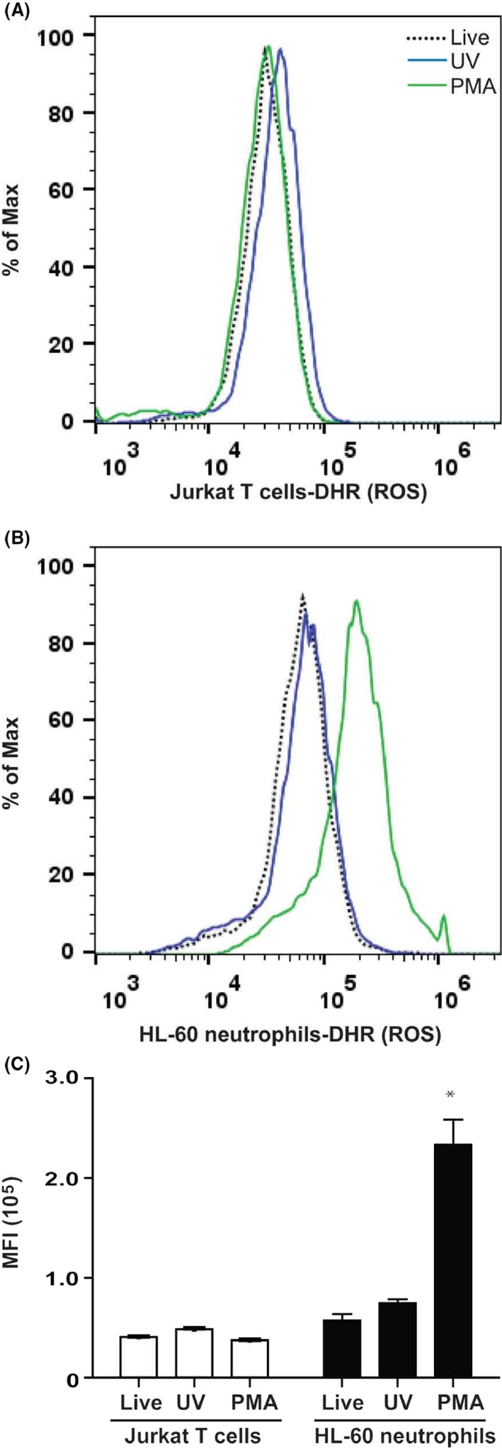 Figure 7