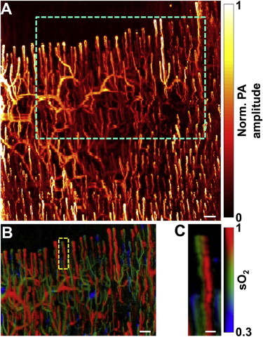 Figure 7