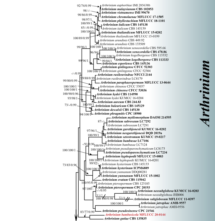 Figure 2.