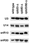 FIG. 7