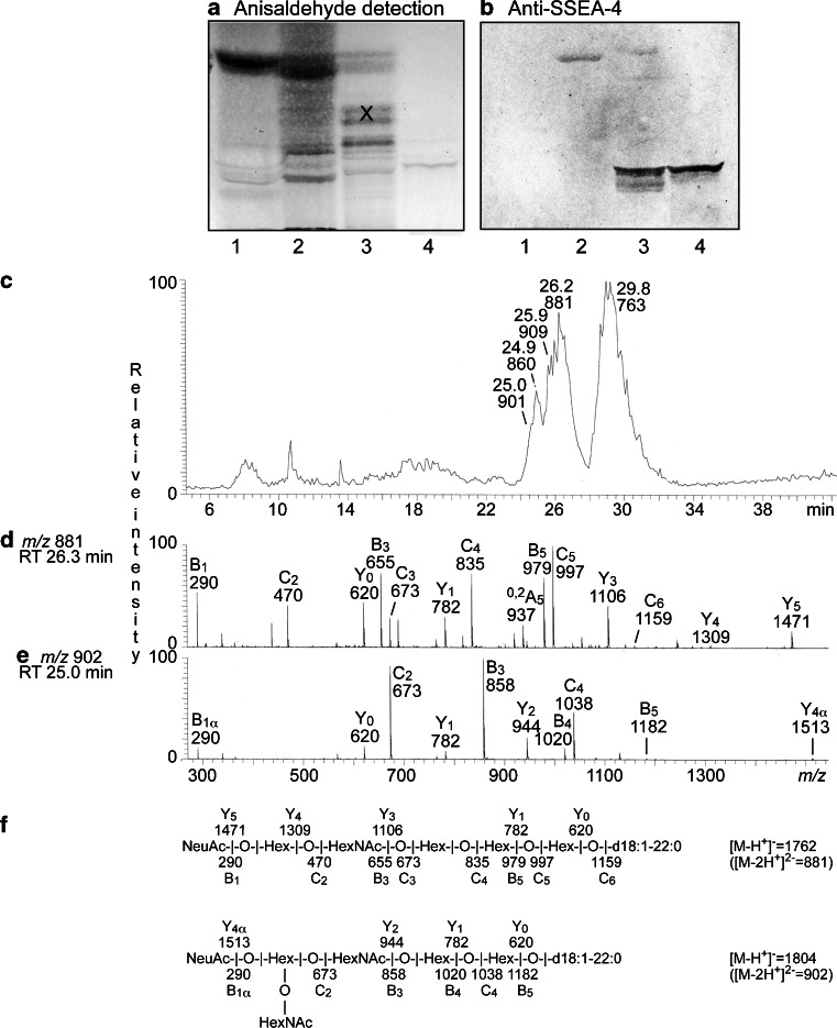 Fig. 11