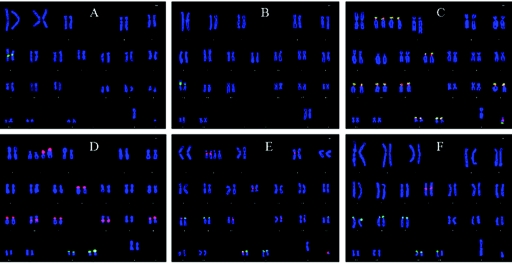 Figure  1. 